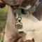 Show in main carousel: Besties Pup's Peak Mountain Design Jingle-Free Silicone Dog ID Tag, Midnight Granite slide 7 of 9