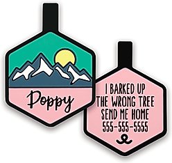 Besties Pup's Peak Mountain Design Jingle-Free Silicone Dog ID Tag, Wild Bloom