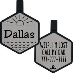 Besties Salt & Sun Design Jingle-Free Silicone Dog ID Tag, Grey