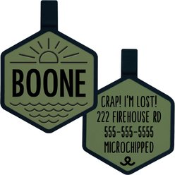 Besties Salt & Sun Design Jingle-Free Silicone Dog ID Tag, Sage