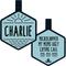 Show in main carousel: Besties Salt & Sun Design Jingle-Free Silicone Dog ID Tag, Sky Blue slide 1 of 9