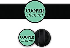 Besties Slide-On Cat & Dog ID Tag, Aqua