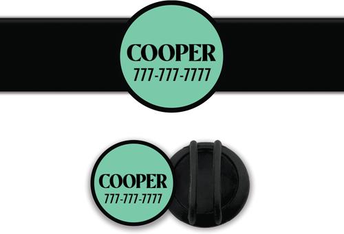 Show full view: Besties Slide-On Cat & Dog ID Tag, Aqua slide 1 of 8