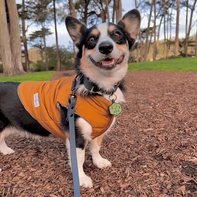 Show full view: Besties Stay Wild Design Jingle-Free Silicone Dog ID Tag, Heather Purple slide 7 of 9