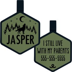 Besties Stay Wild Design Jingle-Free Silicone Dog ID Tag, Sage