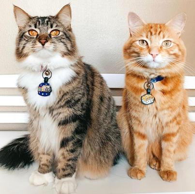 Show full view: Besties Sushi Silicone Lightweight Cat ID Tag slide 5 of 6