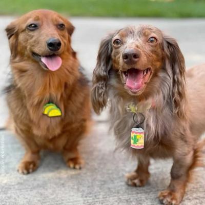 Show full view: Besties Tacos & Beer Best Friends Set of 2 Jingle-Free Silicone Pet ID Tags slide 6 of 7