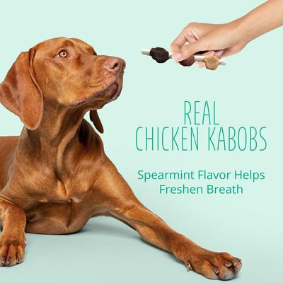 Show full view: Better Belly Dental Kabobs Chicken & Spearmint Flavor Dental Dog Treats, 10 count slide 9 of 12