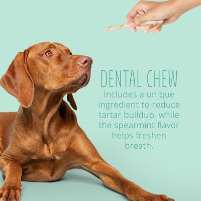 Show full view: Better Belly Twist Sticks Fresh Breath Spearmint Flavor Highly Digestible Rawhide Dental Dog Treat Chew, 25 count slide 6 of 13