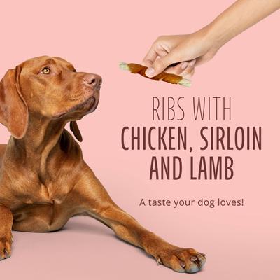 Show full view: Better Belly Triple Flavor Ribs Sirloin, Lamb, & Chicken Highly Digestible Rawhide Dog Treat Chews, 10 count slide 10 of 12