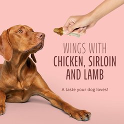 Better Belly Triple Flavor Wings Sirloin, Lamb, & Chicken Highly Digestible Rawhide Dog Treat Chews, 10 count slide 2 of 9