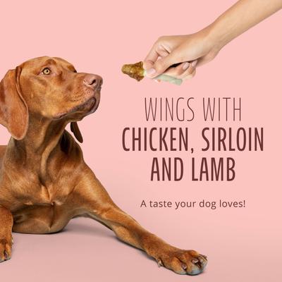 Show full view: Better Belly Triple Flavor Wings Sirloin, Lamb, & Chicken Highly Digestible Rawhide Dog Treat Chews, 10 count slide 10 of 12