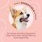 Show in main carousel: Better Belly Proteins Rolls with Real Venison Highly Digestible Rawhide Dog Treat Chew, Small, 6 count slide 6 of 13