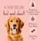 Show in main carousel: Better Belly Proteins Rolls with Real Venison Highly Digestible Rawhide Dog Treat Chew, Large, 3 count slide 7 of 13