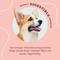 Show in main carousel: Better Belly Triple Flavor Kabobs Salmon, Venison & Lamb Highly Digestible Rawhide Dog Treat Chews, 18 count slide 10 of 13