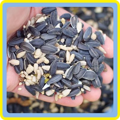 Show full view: Better Bird Beautiful Bird Food, 17-lb bag slide 3 of 9