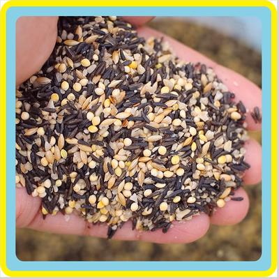 Show full view: Better Bird Finch Bird Food, 4-lb bag slide 3 of 9