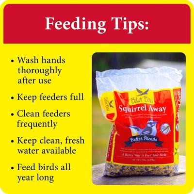 Show full view: Better Bird Squirrel Away Bird Food, 5-lb bag slide 8 of 10