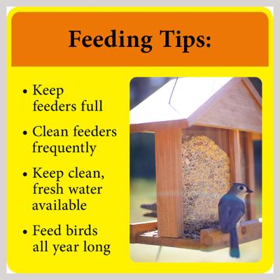 Show full view: Better Bird Zero-Waste Bird Food, 5-lb bag slide 8 of 10