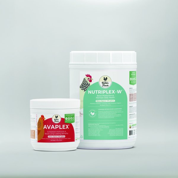 Better Flock Avaplex Immune Support Chicken Supplement