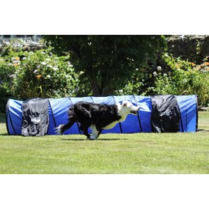 Better Sporting Dogs 10-ft Agility Tunnel with Sandbag Dog Toy, Blue