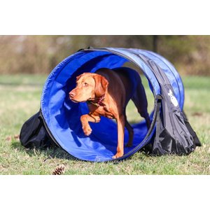 Better Sporting Dogs 10-ft Agility Tunnel with Sandbag Dog Toy, Blue