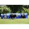 Show in main carousel: Better Sporting Dogs 3 Piece Essential Agility Equipment Set Dog Toy, Blue slide 7 of 11