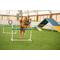Show in main carousel: Better Sporting Dogs 5 Piece Complete Starter Dog Agility Set slide 3 of 13