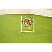 Show in main carousel: Better Sporting Dogs 5 Piece Complete Starter Dog Agility Set slide 5 of 12