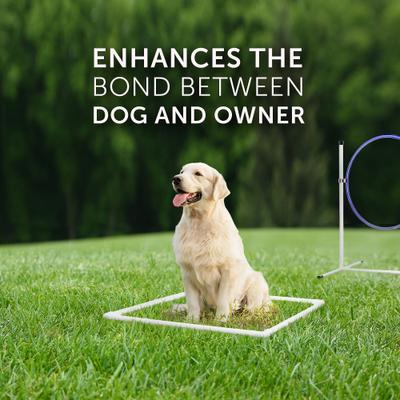 Show full view: Better Sporting Dogs 5 Piece Complete Starter Dog Agility Set slide 9 of 13