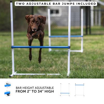 Show full view: Better Sporting Dogs 7 Piece Deluxe Dog Agility Equipment Set slide 9 of 12