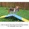 Show in main carousel: Better Sporting Dogs Practice See Saw Dog Agility Training Equipment, Blue/Yellow slide 7 of 8