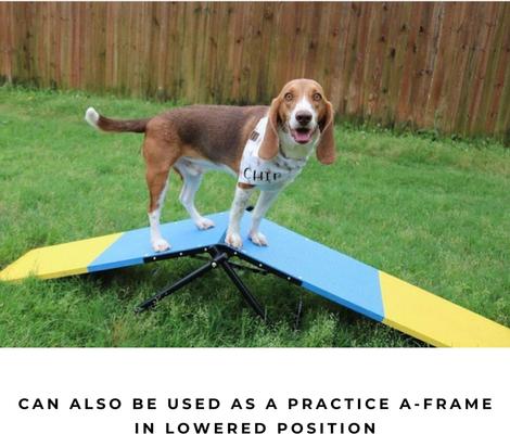 Show full view: Better Sporting Dogs Practice See Saw Dog Agility Training Equipment, Blue/Yellow slide 7 of 8