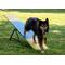 Show in main carousel: Better Sporting Dogs Practice See Saw Dog Agility Training Equipment, Blue/Yellow slide 5 of 8