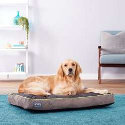 Better World Pets Orthopedic Pillow Dog Bed with Removable Cover, Rave Green, Medium