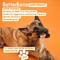 Show in main carousel: BetterBone Classic Hypoallergenic Dog Toy, Natural, Large slide 4 of 11