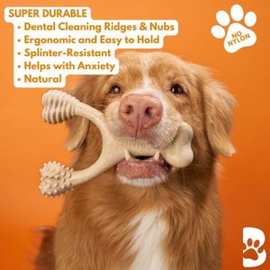 BetterBone Hard Beef Dog Toy, Natural, Small