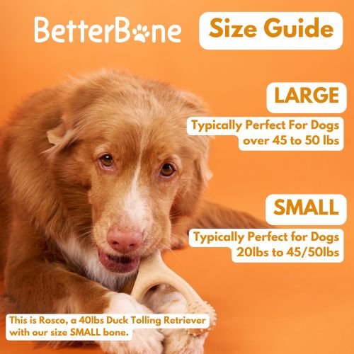 Show full view: BetterBone Hard Beef Dog Toy, Natural, Small slide 7 of 10