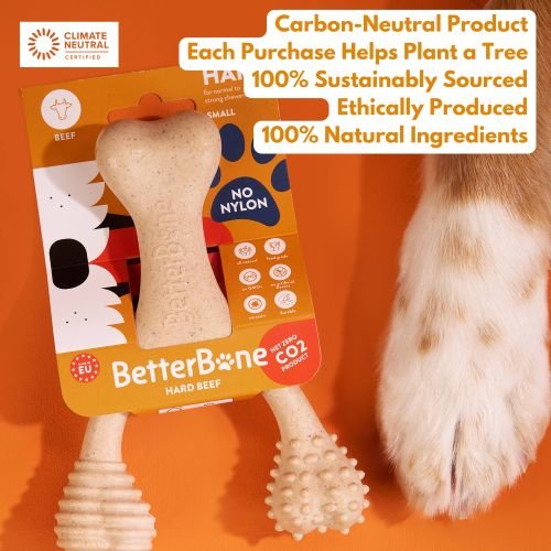 Show full view: BetterBone Hard Beef Dog Toy, Natural, Small slide 6 of 10