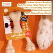 Show in main carousel: BetterBone Hard Beef Dog Toy, Natural, Small slide 6 of 10