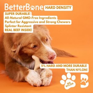 BetterBone Hard Beef Dog Toy, Natural, Small