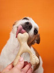 BetterBone Hard Density Classic Flavor Dog Chew Toy, Mini slide 2 of 4