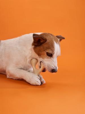 Show full view: BetterBone Hard Density Classic Flavor Dog Chew Toy, Mini slide 3 of 4