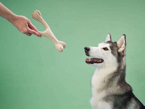 Show full view: BetterBone Medium Density Classic Beef Flavor Dog Chew Toy, Large slide 3 of 5