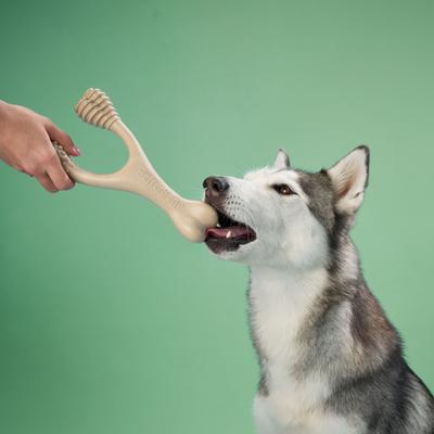 Show full view: BetterBone Medium Density Classic Flavor Dog Chew Toy, Large slide 3 of 5