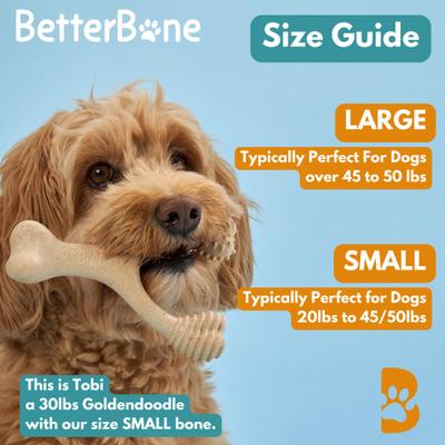 Show full view: BetterBone Soft Density Classic Beef Flavor Dog Chew Toy, Small slide 5 of 6