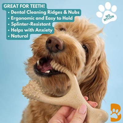 Show full view: BetterBone Soft Density Classic Beef Flavor Dog Chew Toy, Small slide 3 of 6