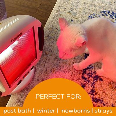 Show full view: Beurer Heated Lamp for Dog & Cat, White slide 2 of 8