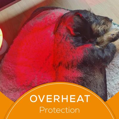 Show full view: Beurer Heated Lamp for Dog & Cat, White slide 7 of 8