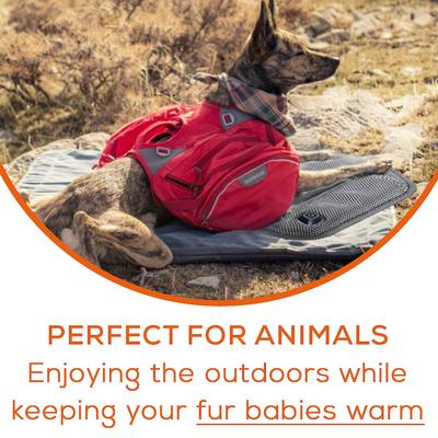 Show full view: Beurer Portable Heated Seat with Power Bank Dog & Cat Pad, Gray slide 2 of 5